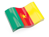 Websites Information Services Producten Cameroon